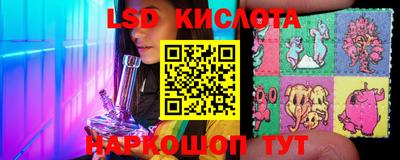 шишки Лесосибирск