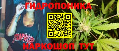 шишки Лесосибирск