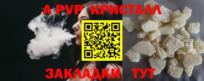 шишки Лесосибирск
