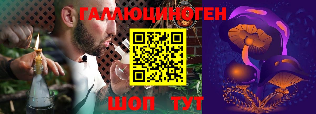 Псилоцибиновые грибы мицелий Черкесск